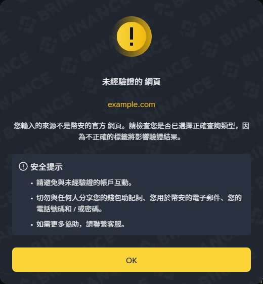 幣安官方驗證查詢 example.com 的結果彈窗,顯示「未經驗證的 網頁」、回顯輸入內容與三條安全提示